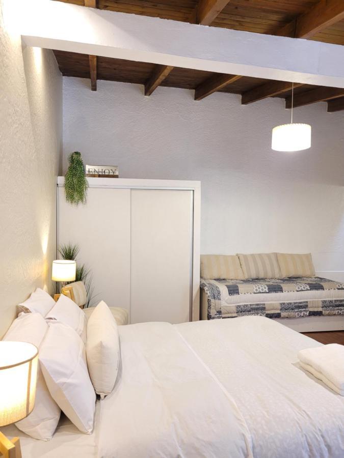 "Casa Amalia Apartamentos" Plaza Italia Y Av Aristides A 50Mts, Lugar Con Jardin 멘도사 외부 사진
