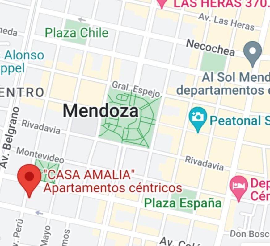 "Casa Amalia Apartamentos" Plaza Italia Y Av Aristides A 50Mts, Lugar Con Jardin 멘도사 외부 사진